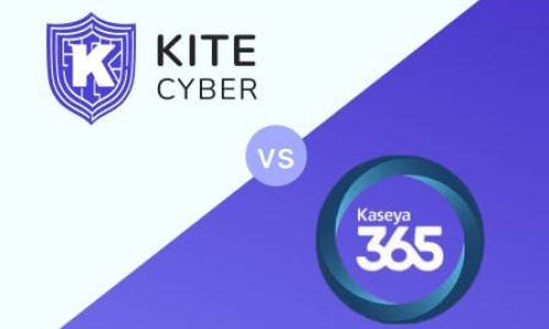 Kaseya 365 Alternative